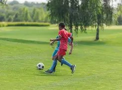 开元体育,资讯,开元棋牌官网,开元体育,开元棋牌官网,中国开元体育,开元棋牌入口