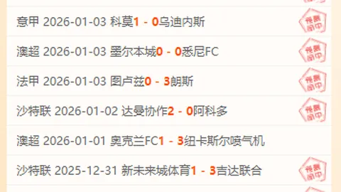 埃梅里：丢球前，球队表现优异。