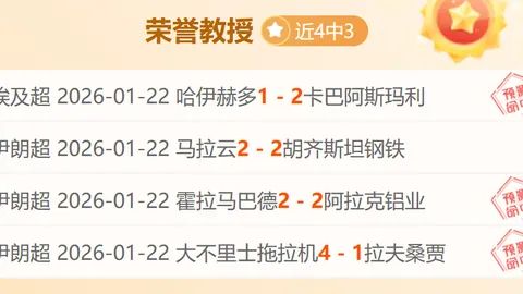 米兰南看台：业余联赛失误频发，球员实力与荣誉不符